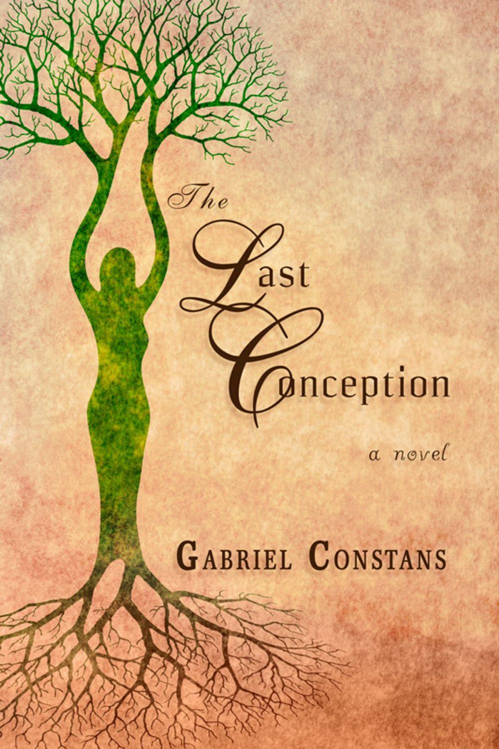 Big bigCover of The Last Conception