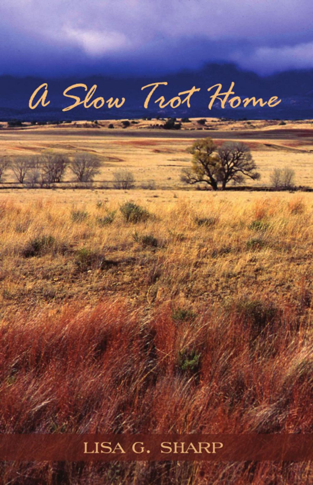 Big bigCover of A Slow Trot Home