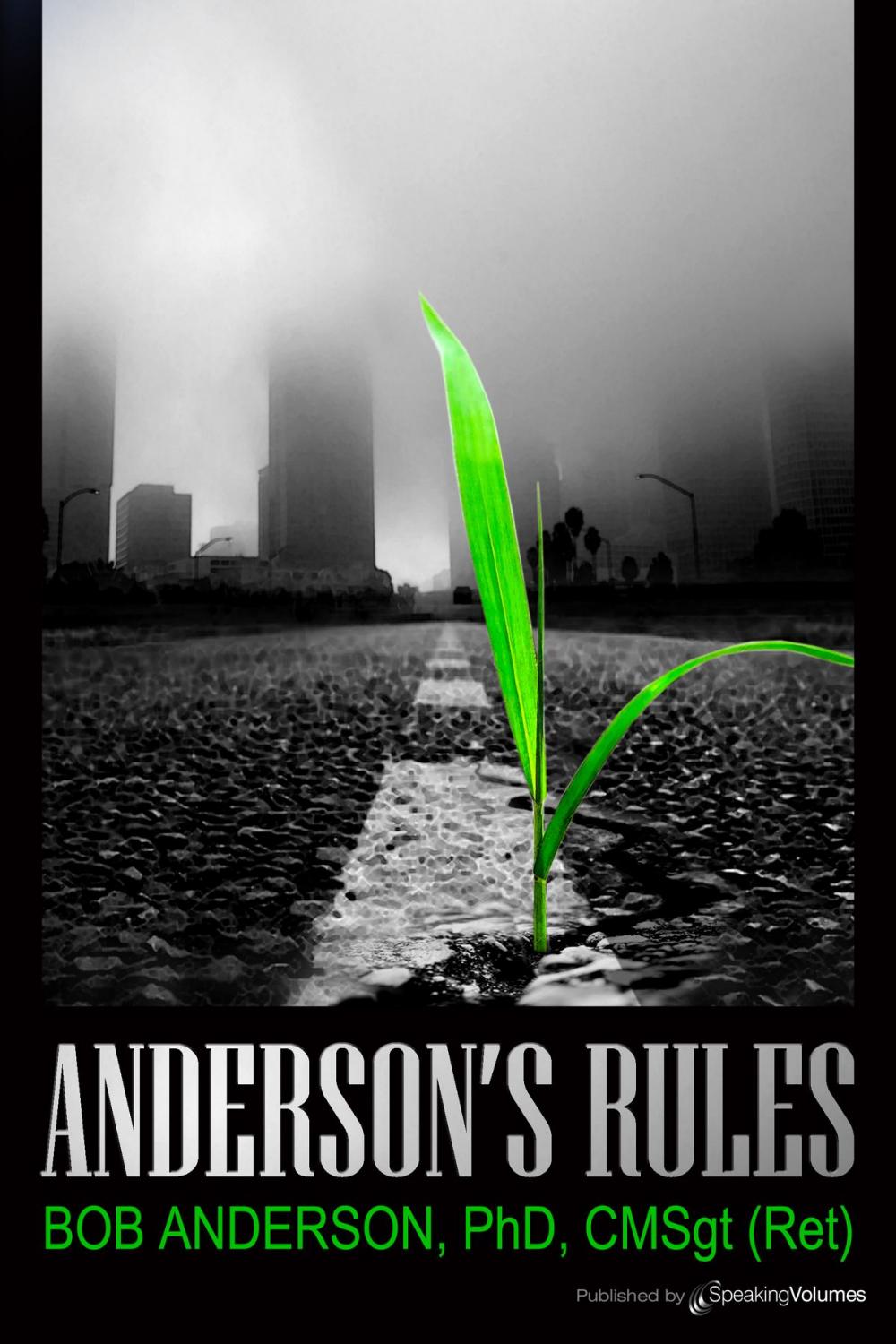 Big bigCover of Anderson's Rules