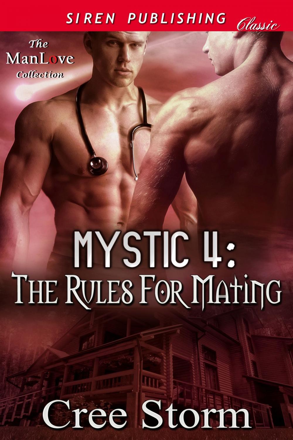 Big bigCover of MYSTIC 4: The Rules for Mating