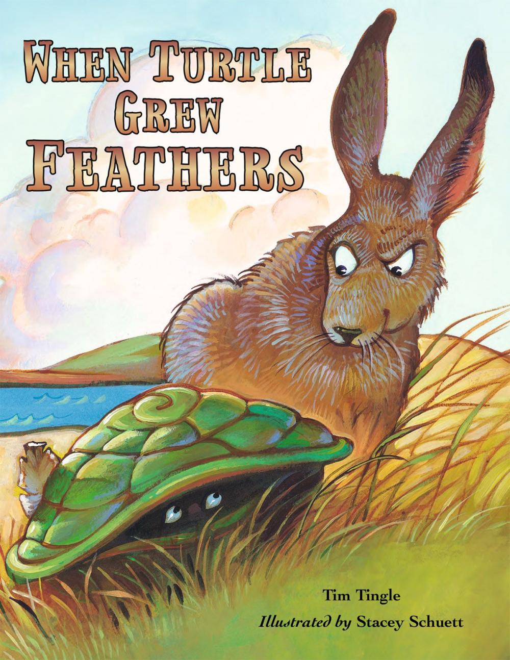 Big bigCover of When Turtle Grew Feathers: A Tale from the Choctaw Nation