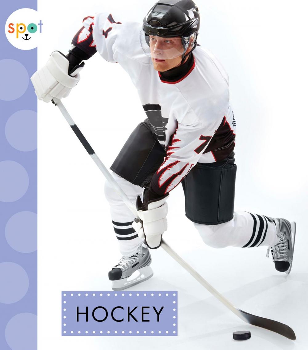 Big bigCover of Hockey