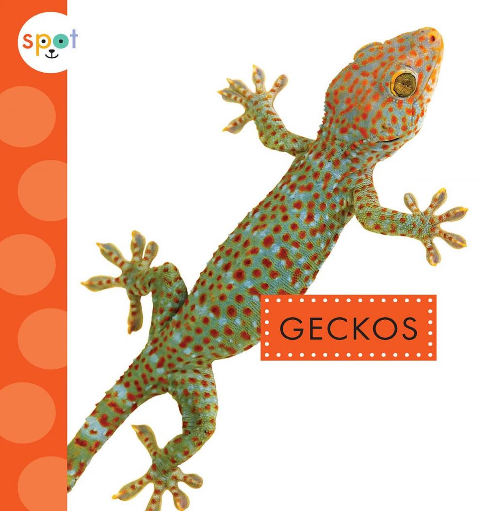 Big bigCover of Geckos