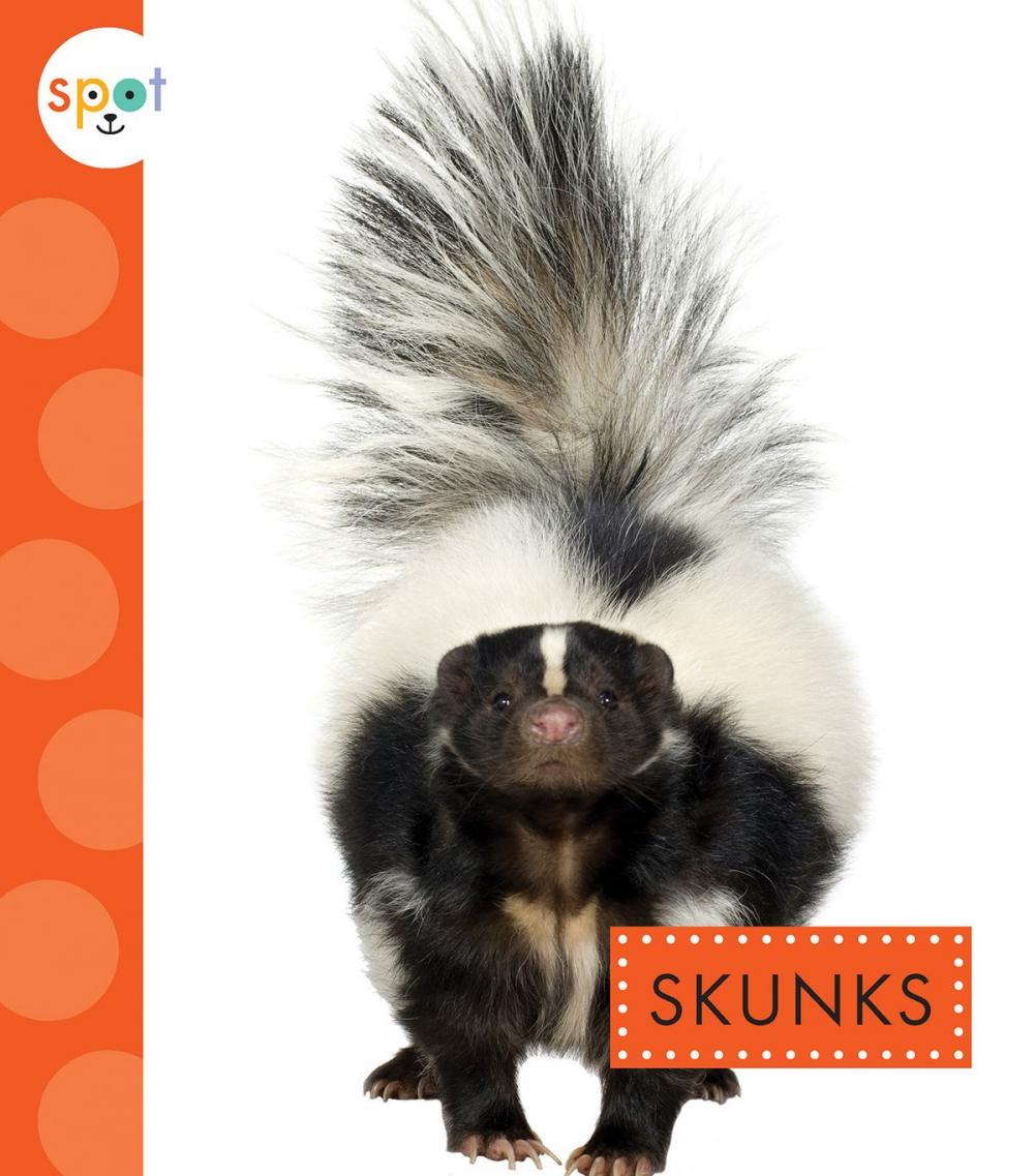 Big bigCover of Skunks