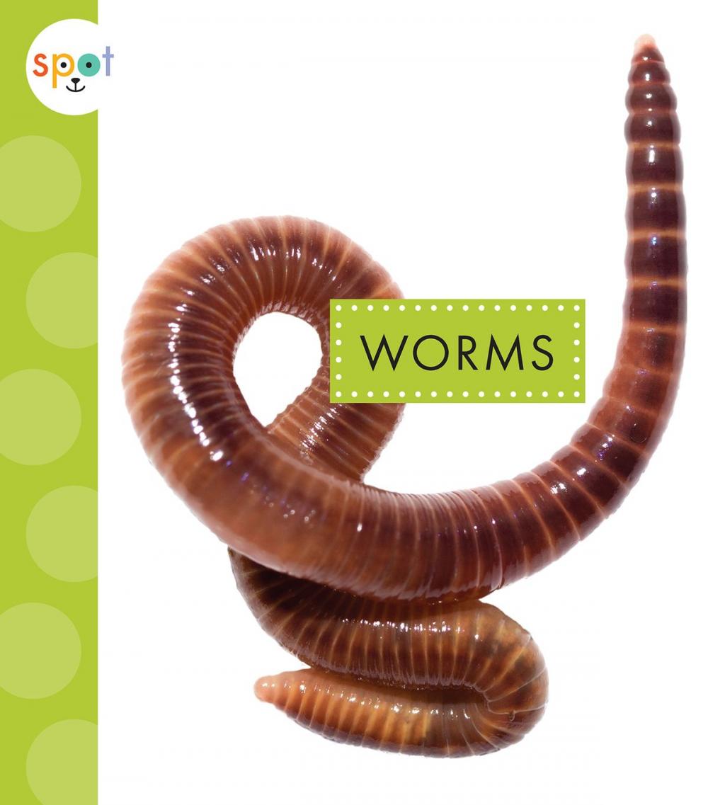 Big bigCover of Worms