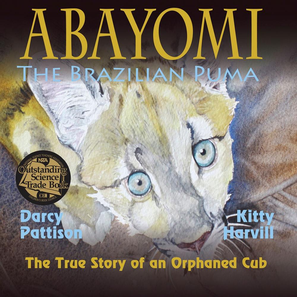 Big bigCover of Abayomi, the Brazilian Puma