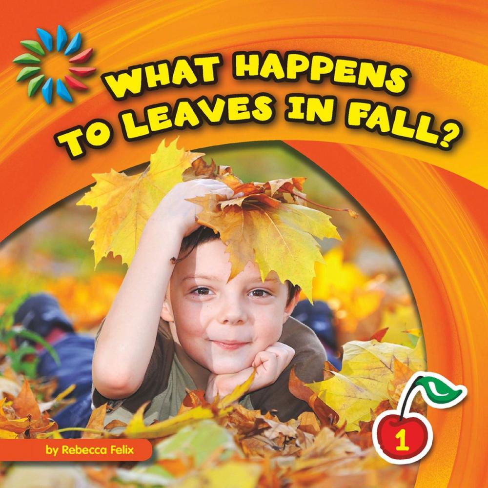 Big bigCover of What Happens to Leaves in Fall?