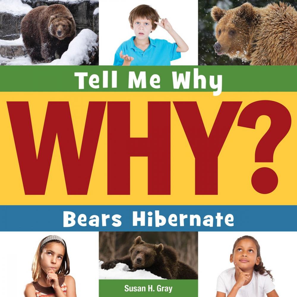 Big bigCover of Bears Hibernate