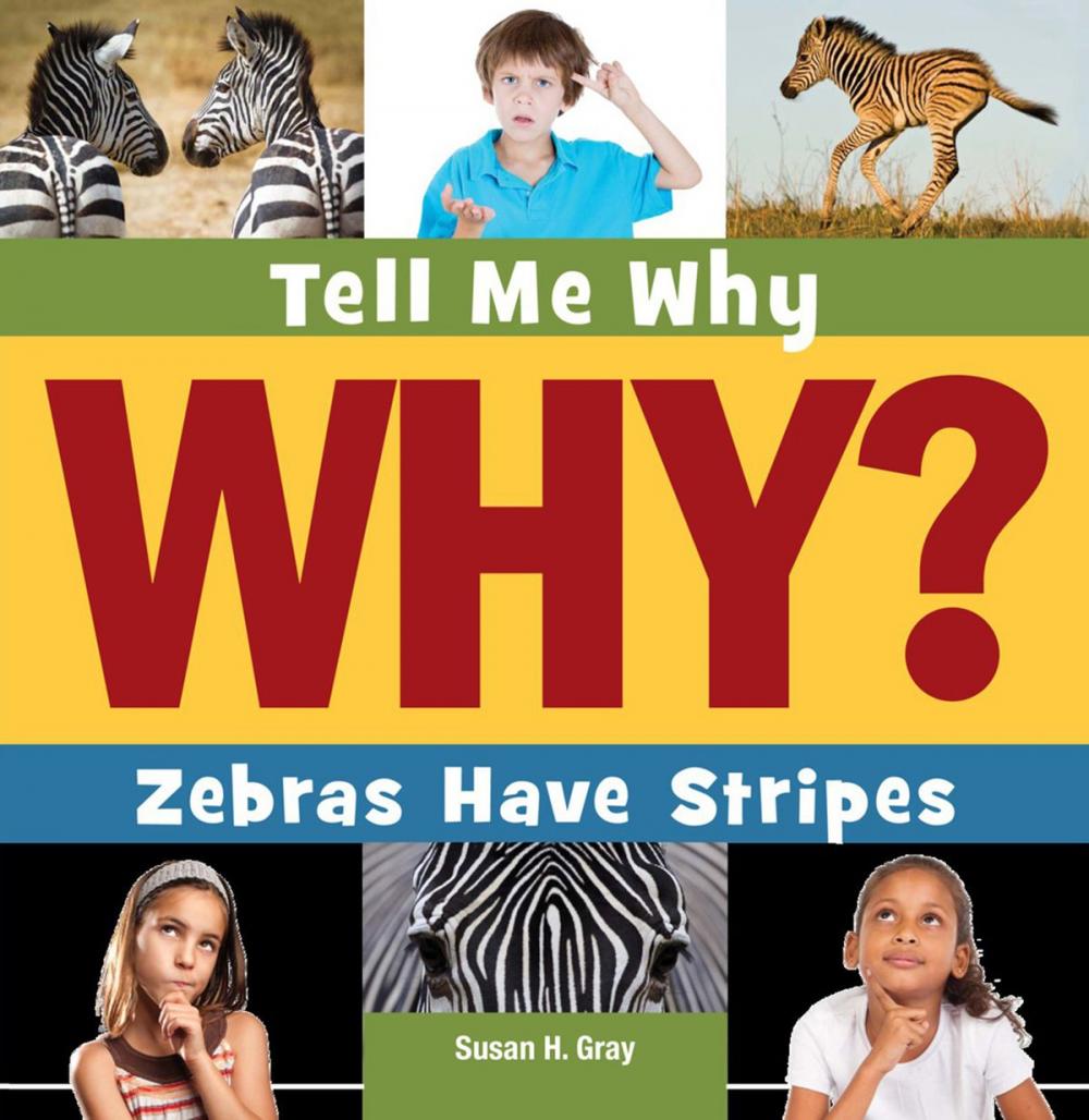 Big bigCover of Zebras Have Stripes