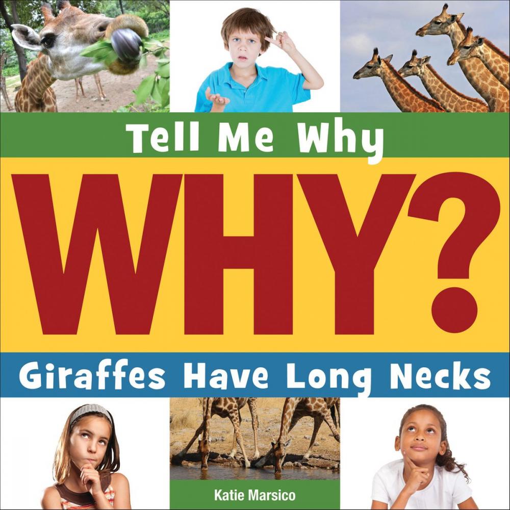 Big bigCover of Giraffes Have Long Necks