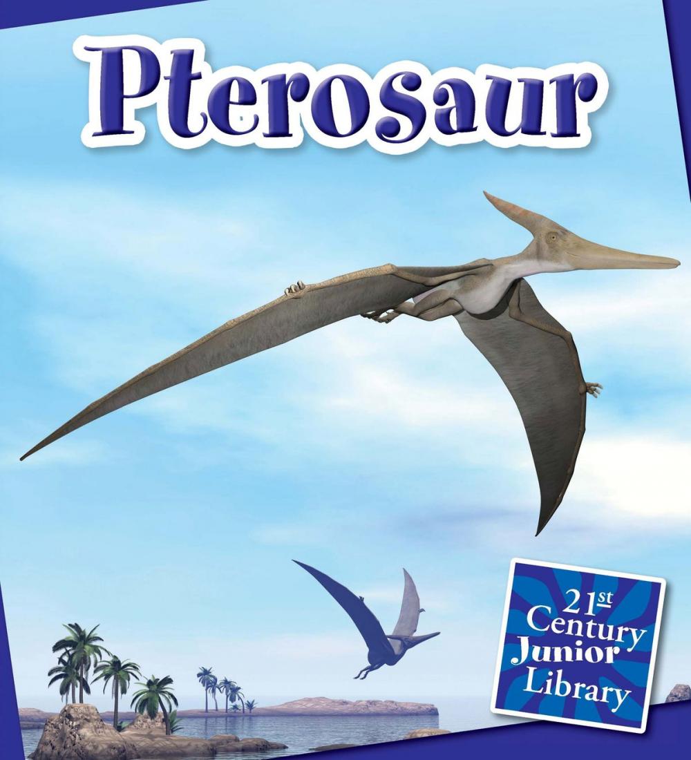 Big bigCover of Pterosaur