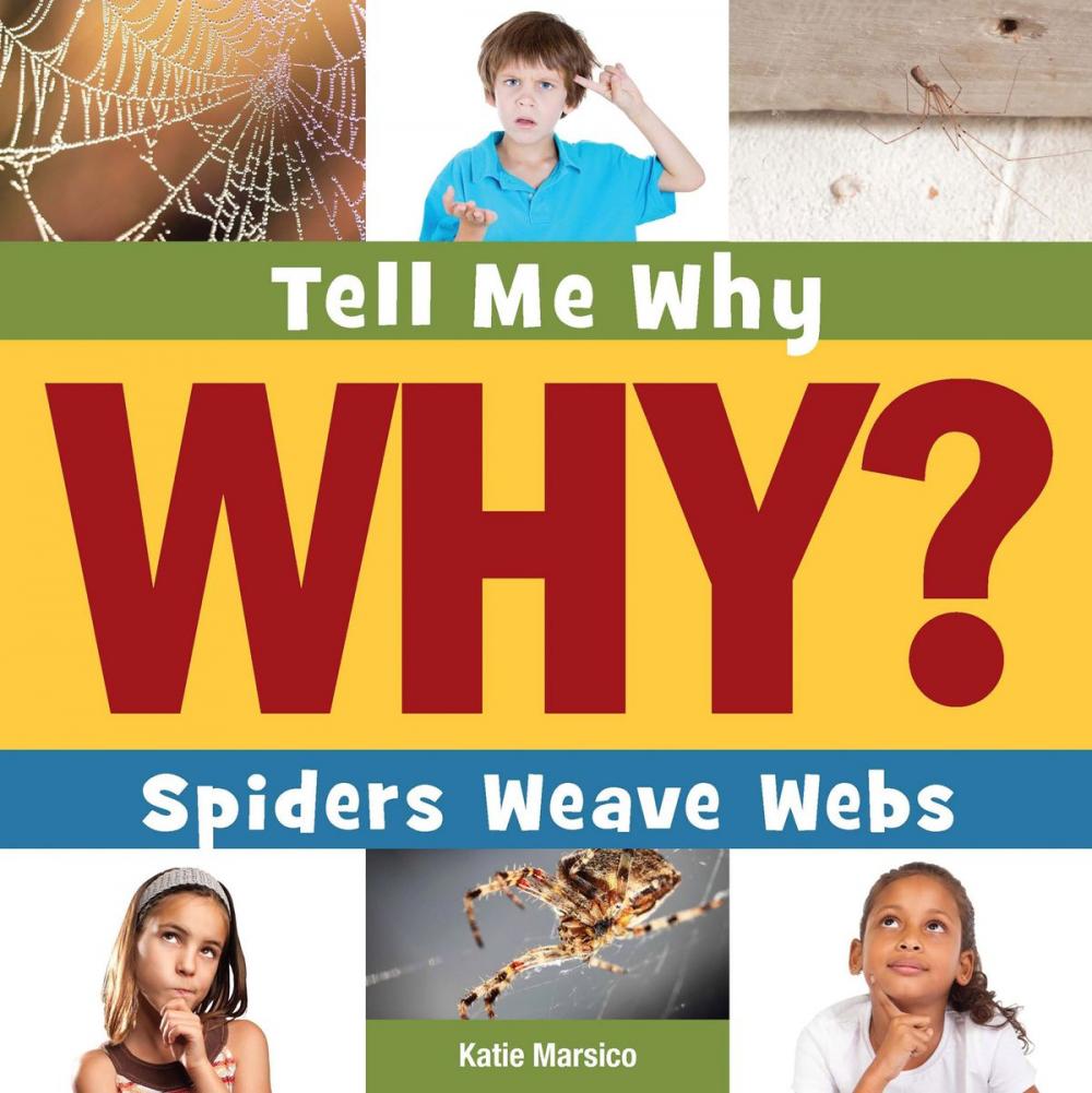 Big bigCover of Spiders Weave Webs