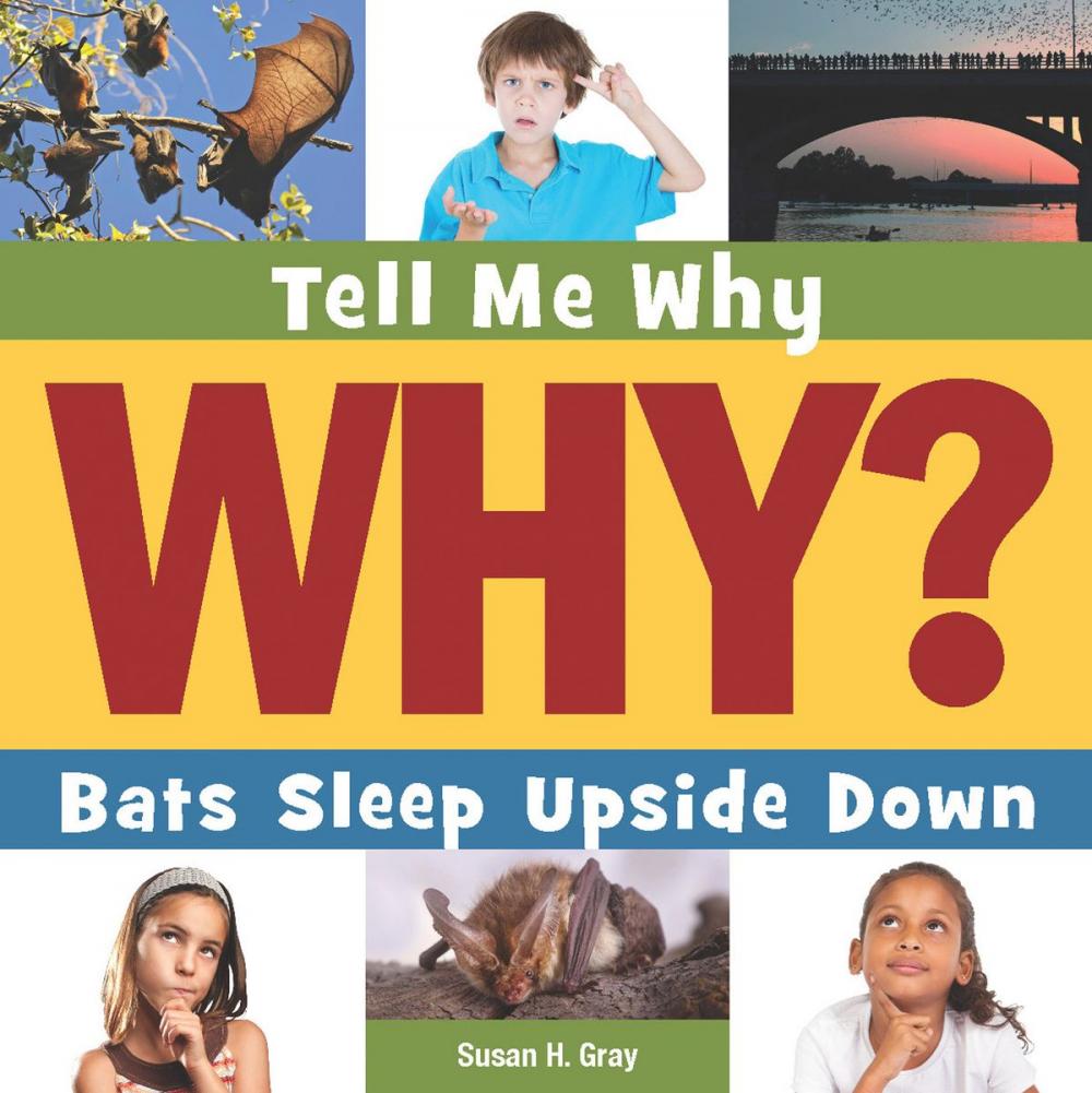 Big bigCover of Bats Sleep Upside Down