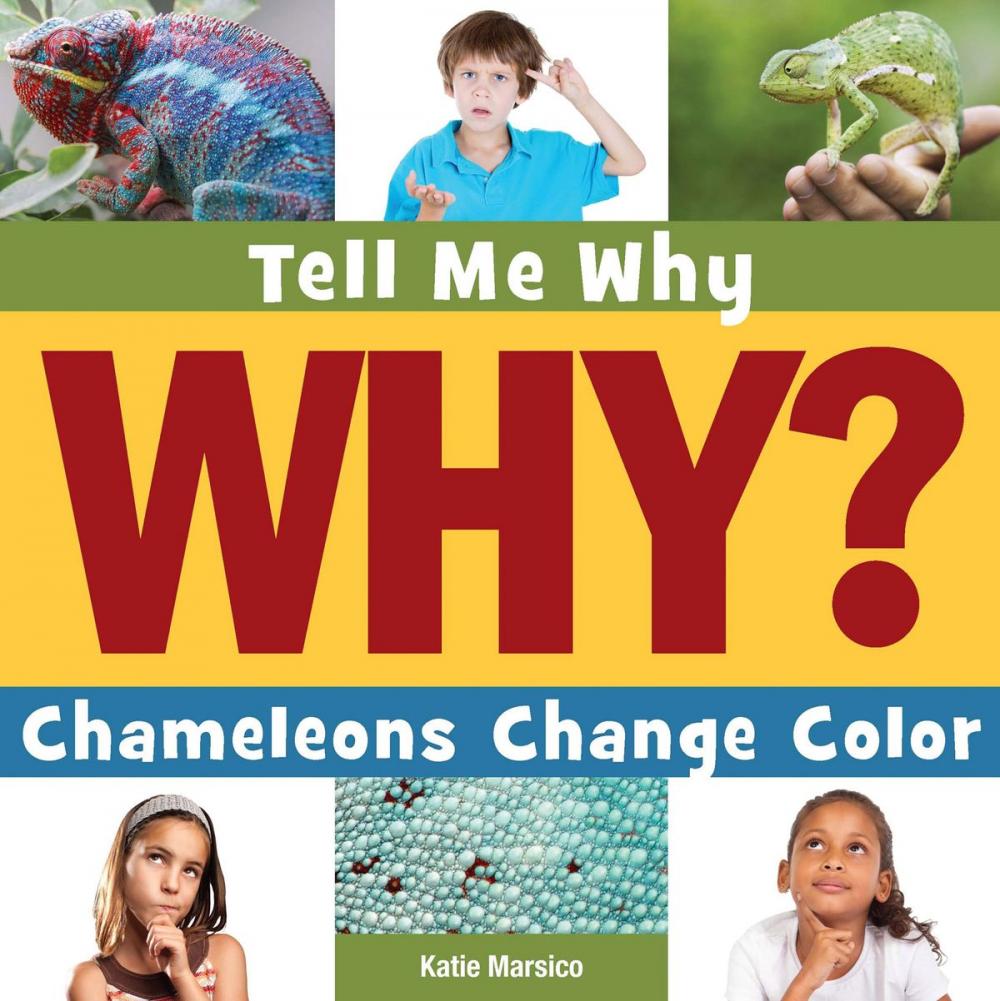 Big bigCover of Chameleons Change Color