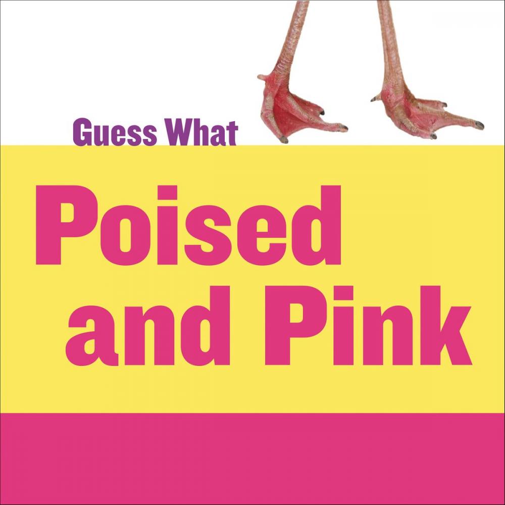 Big bigCover of Poised and Pink: Flamingo