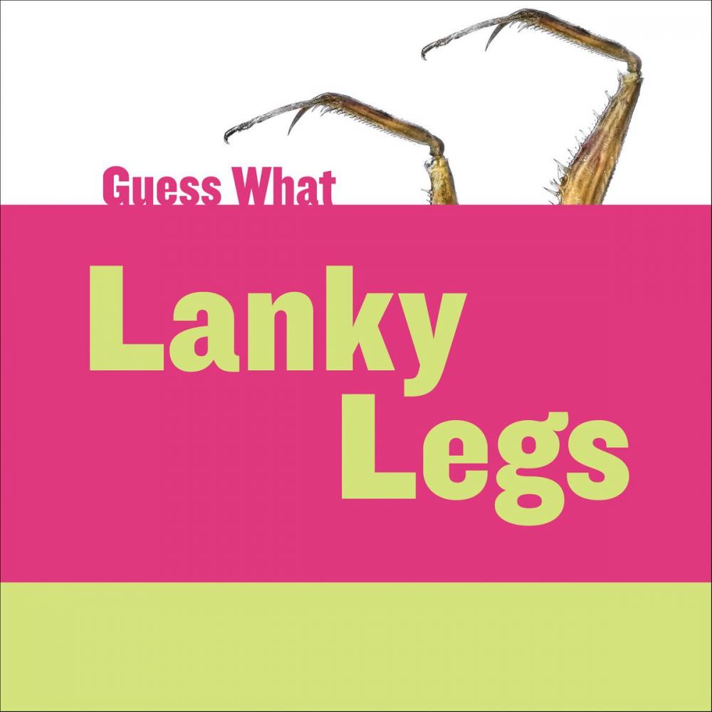 Big bigCover of Lanky Legs: Praying Mantis