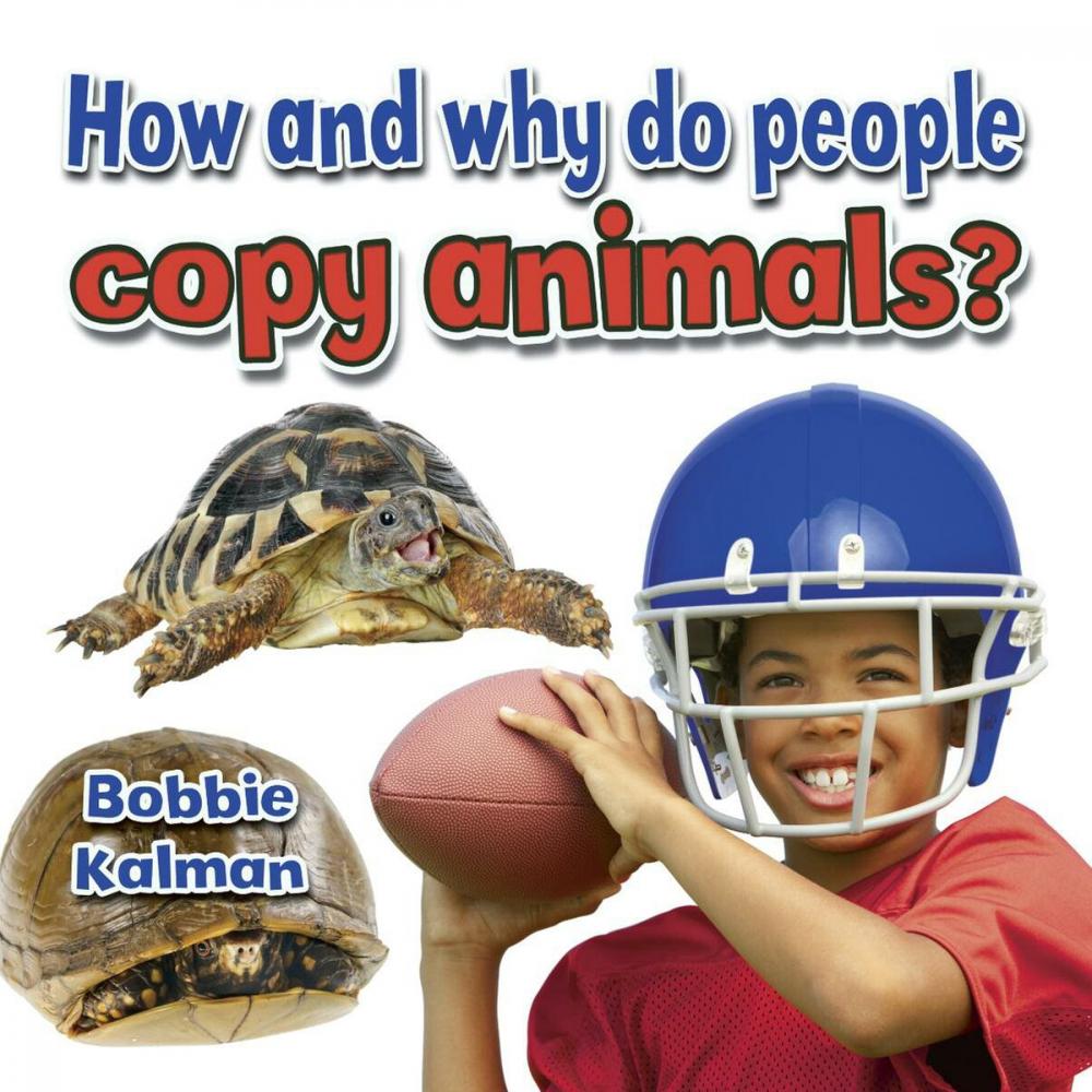 Big bigCover of How and why do people copy animals?