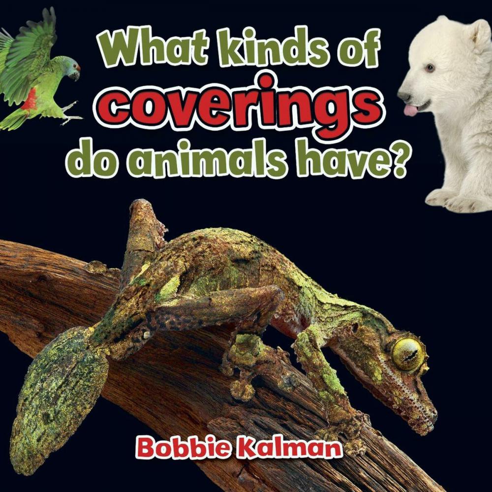 Big bigCover of What kinds of coverings do animals have?