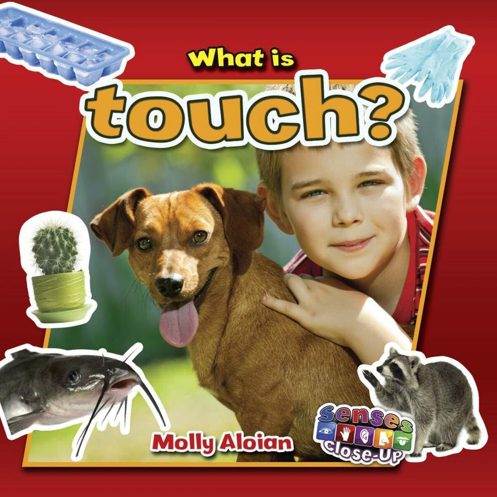 Big bigCover of What is touch?