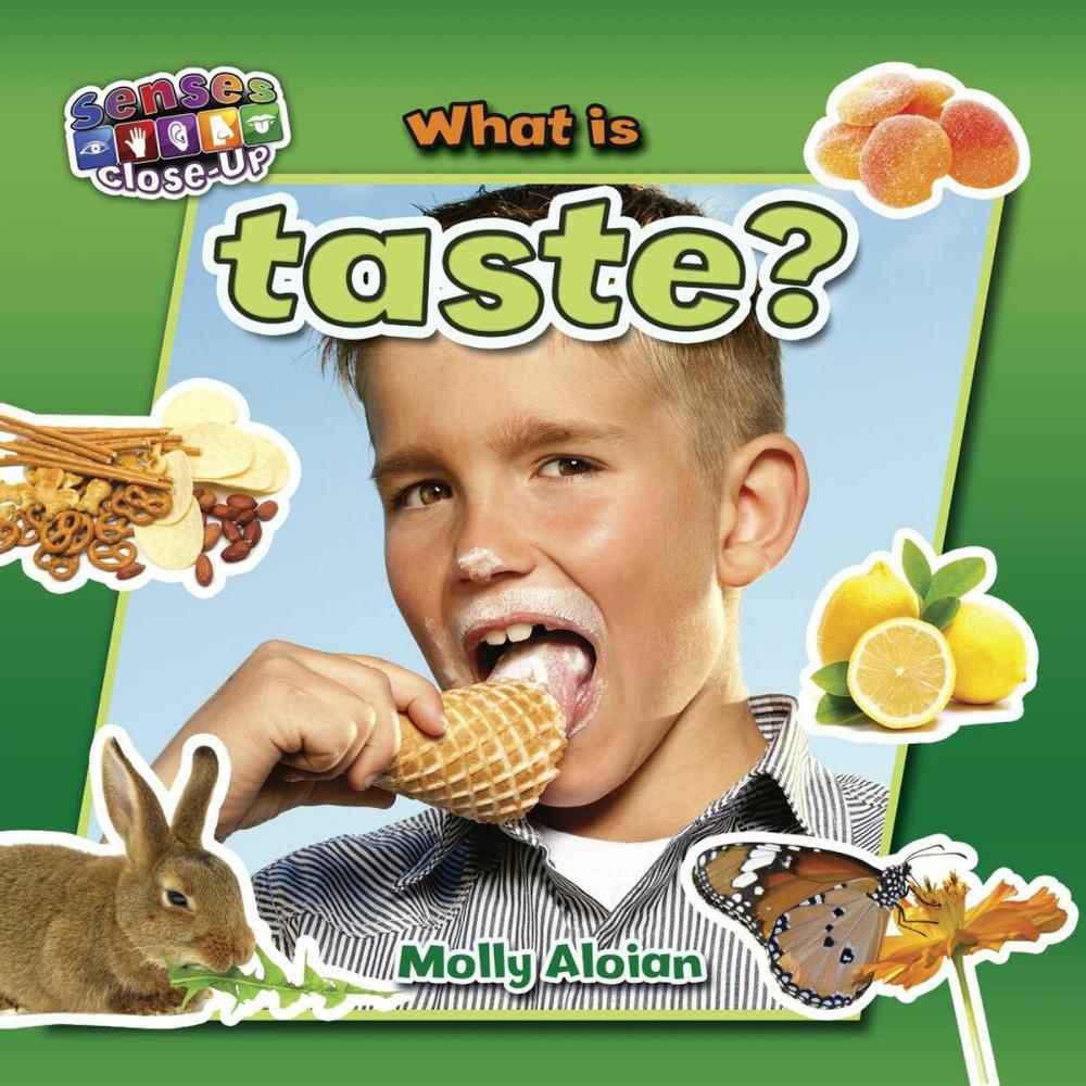 Big bigCover of What is taste?