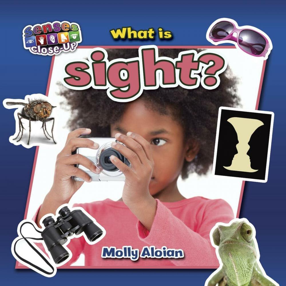 Big bigCover of What is sight?