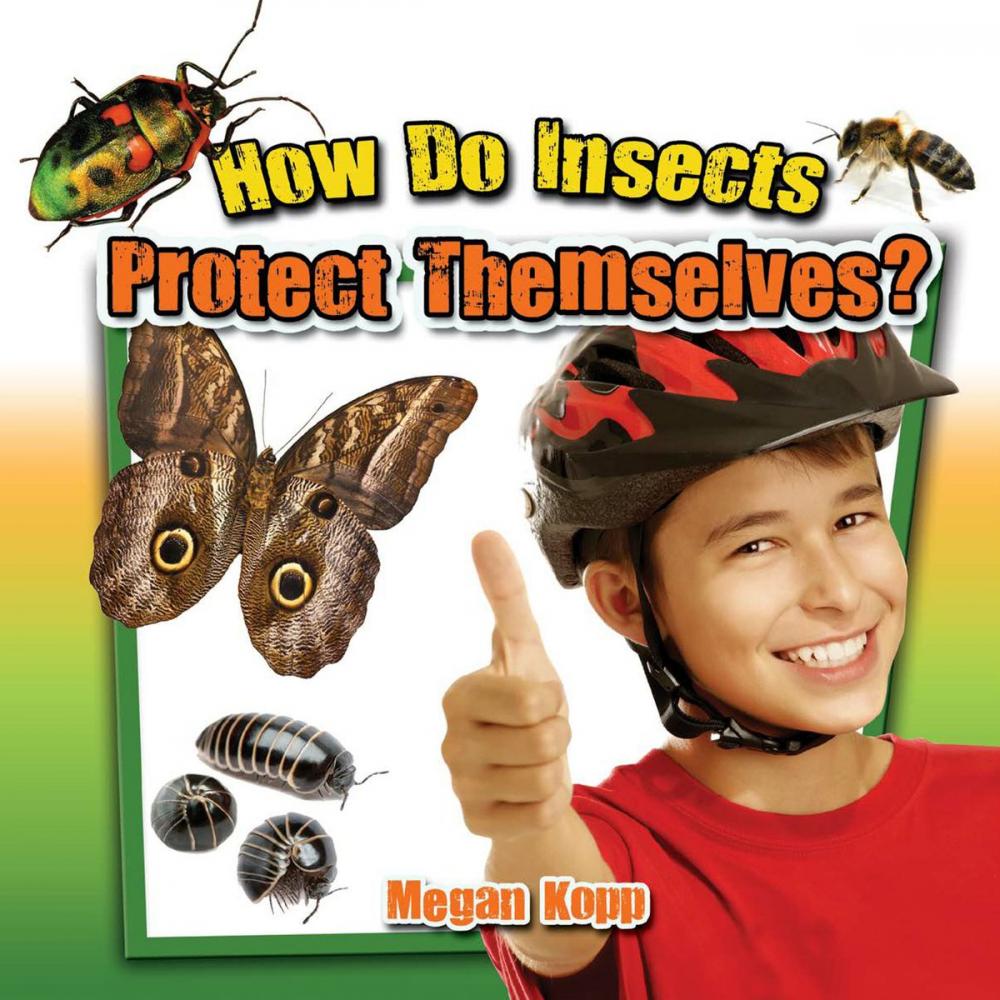 Big bigCover of How Do Insects Protect Themselves?