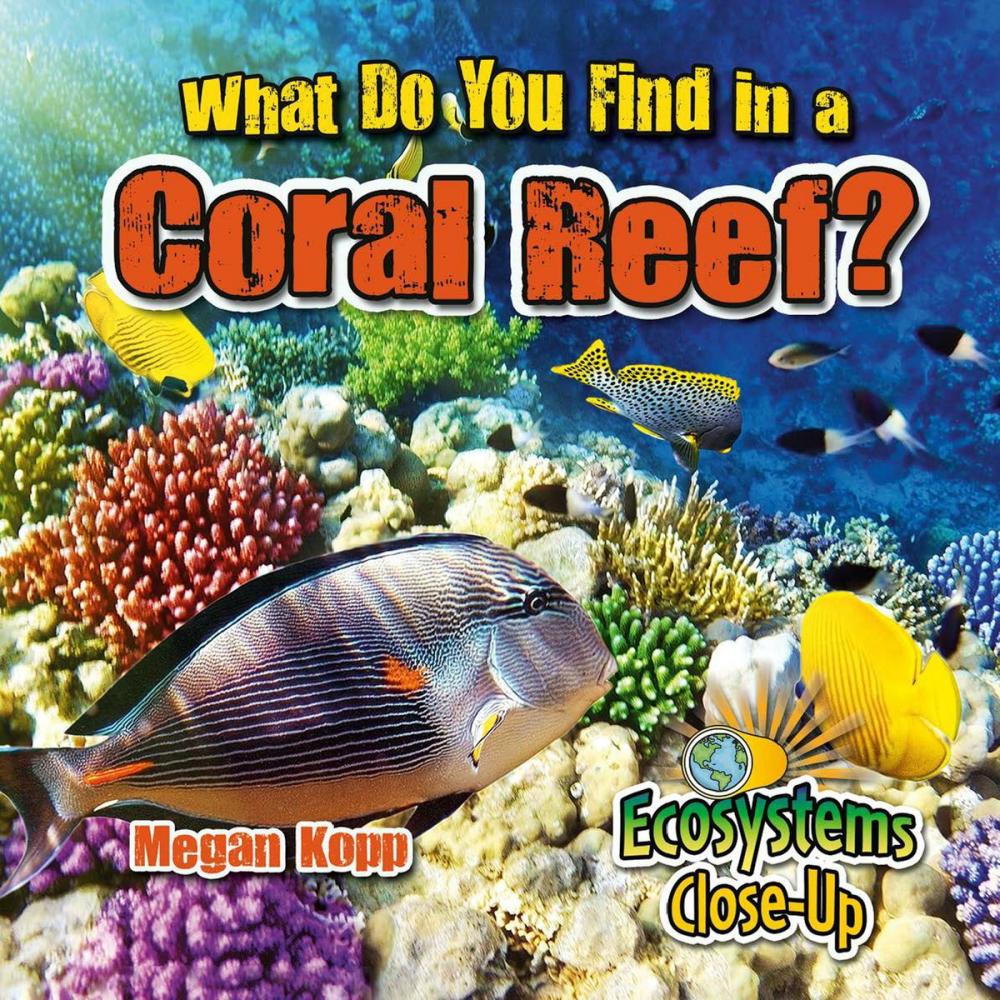 Big bigCover of What Do You Find in a Coral Reef?