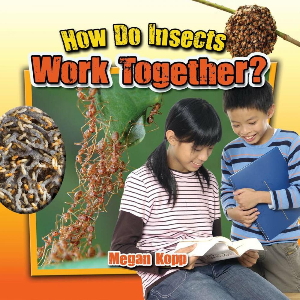 Big bigCover of How Do Insects Work Together?