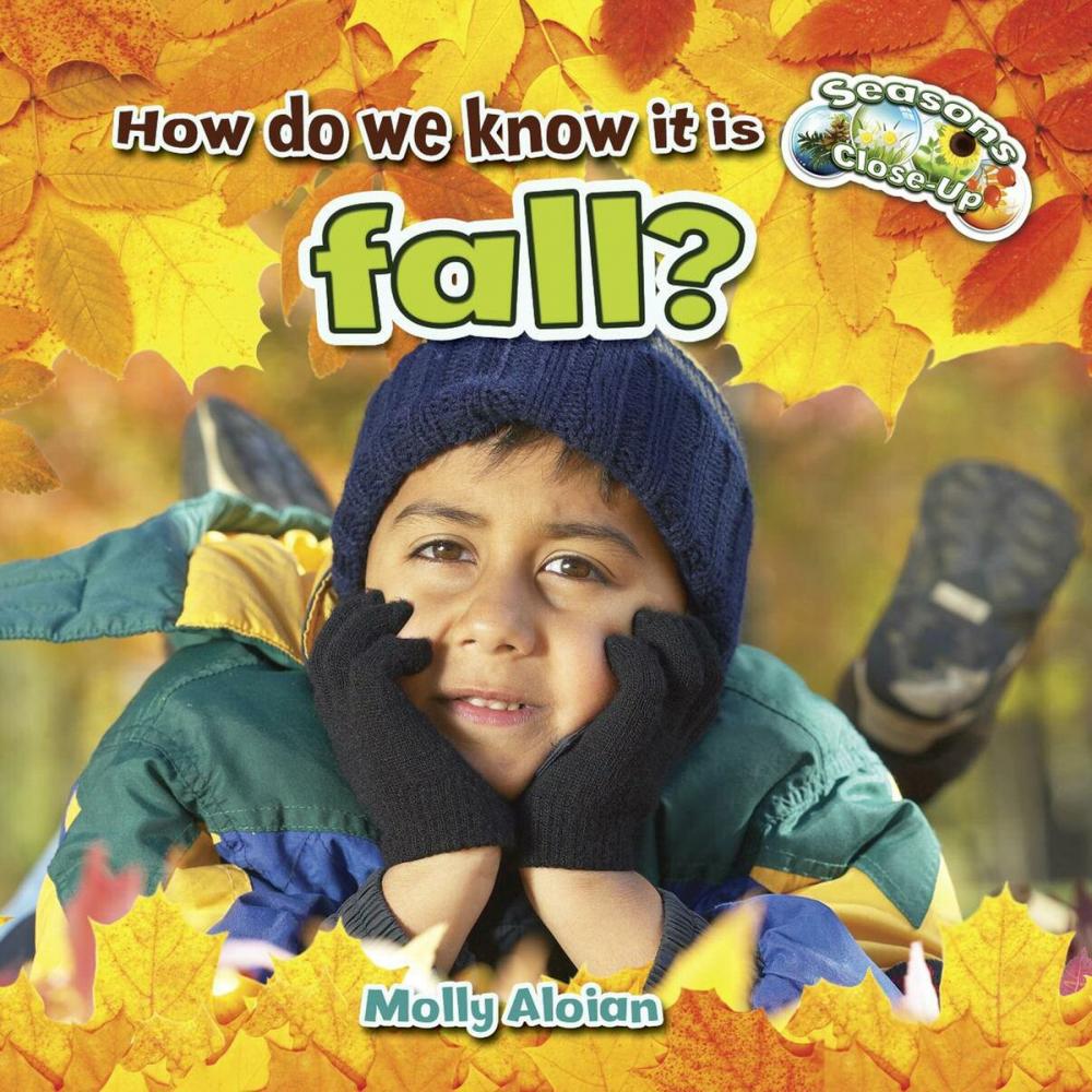 Big bigCover of How do we know it is fall?