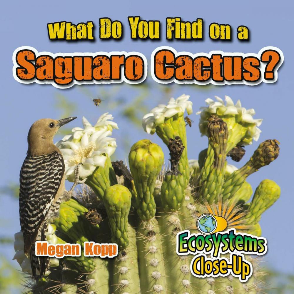 Big bigCover of What Do You Find on a Saguaro Cactus?