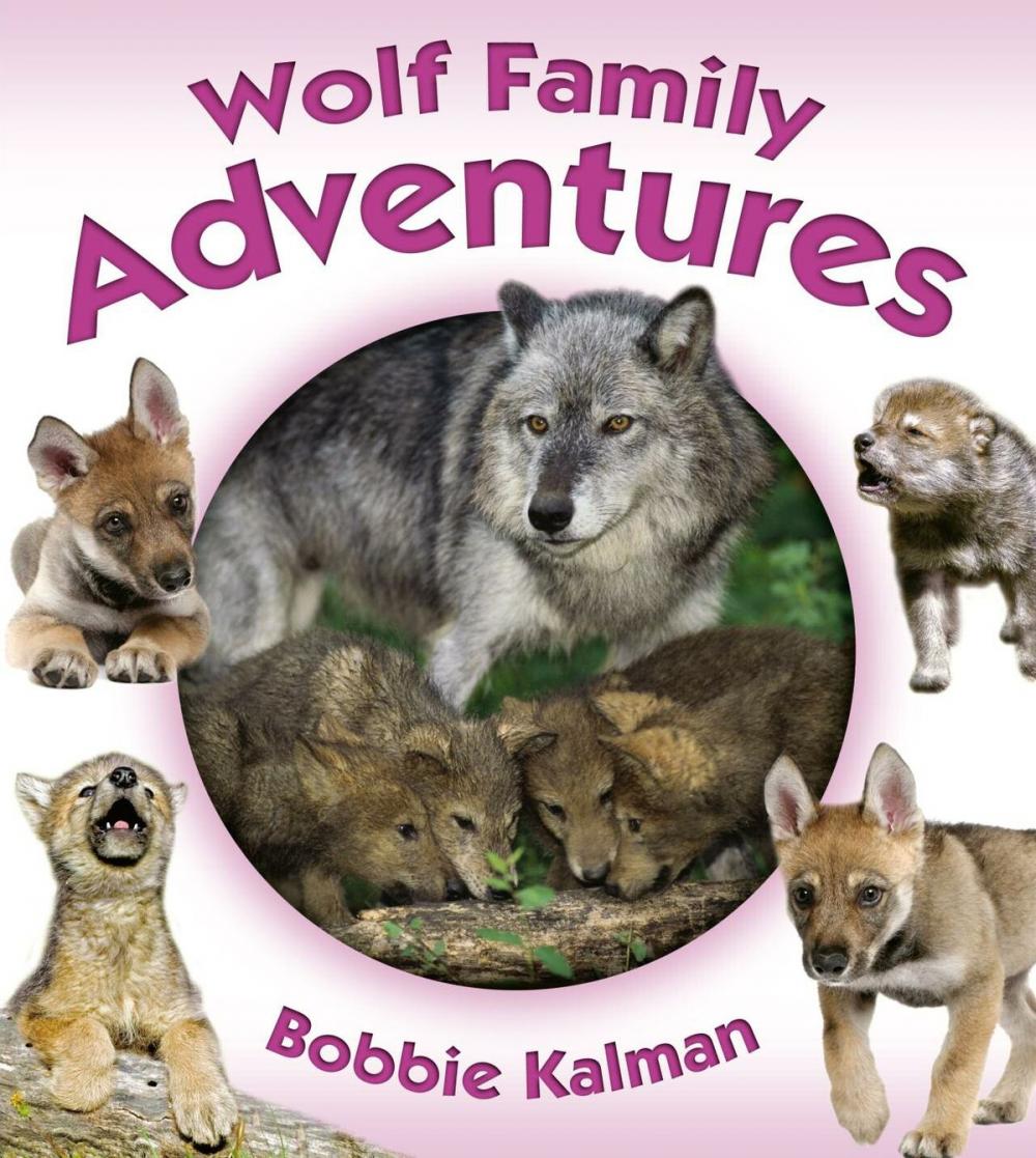 Big bigCover of Wolf Family Adventures