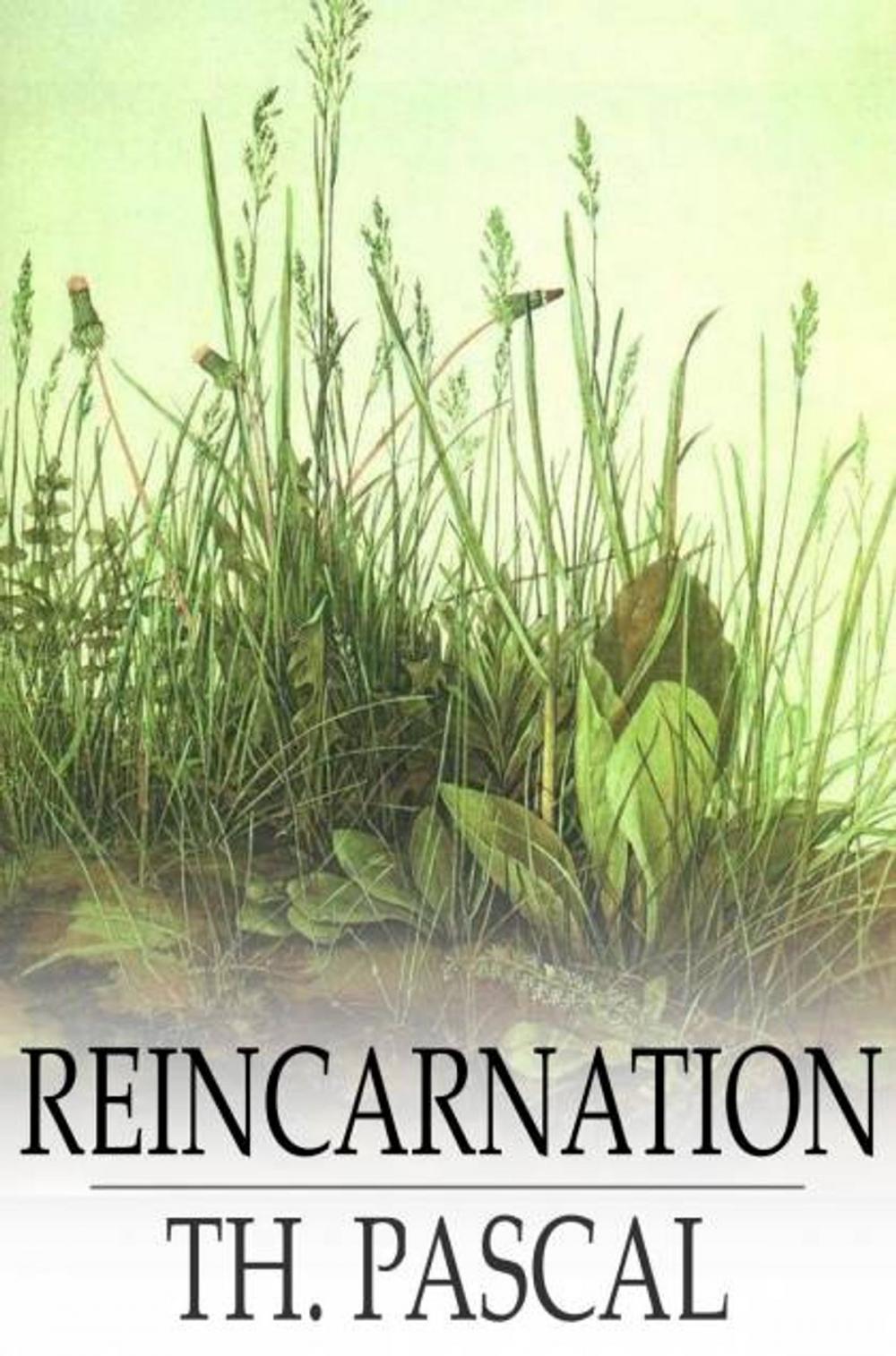 Big bigCover of Reincarnation