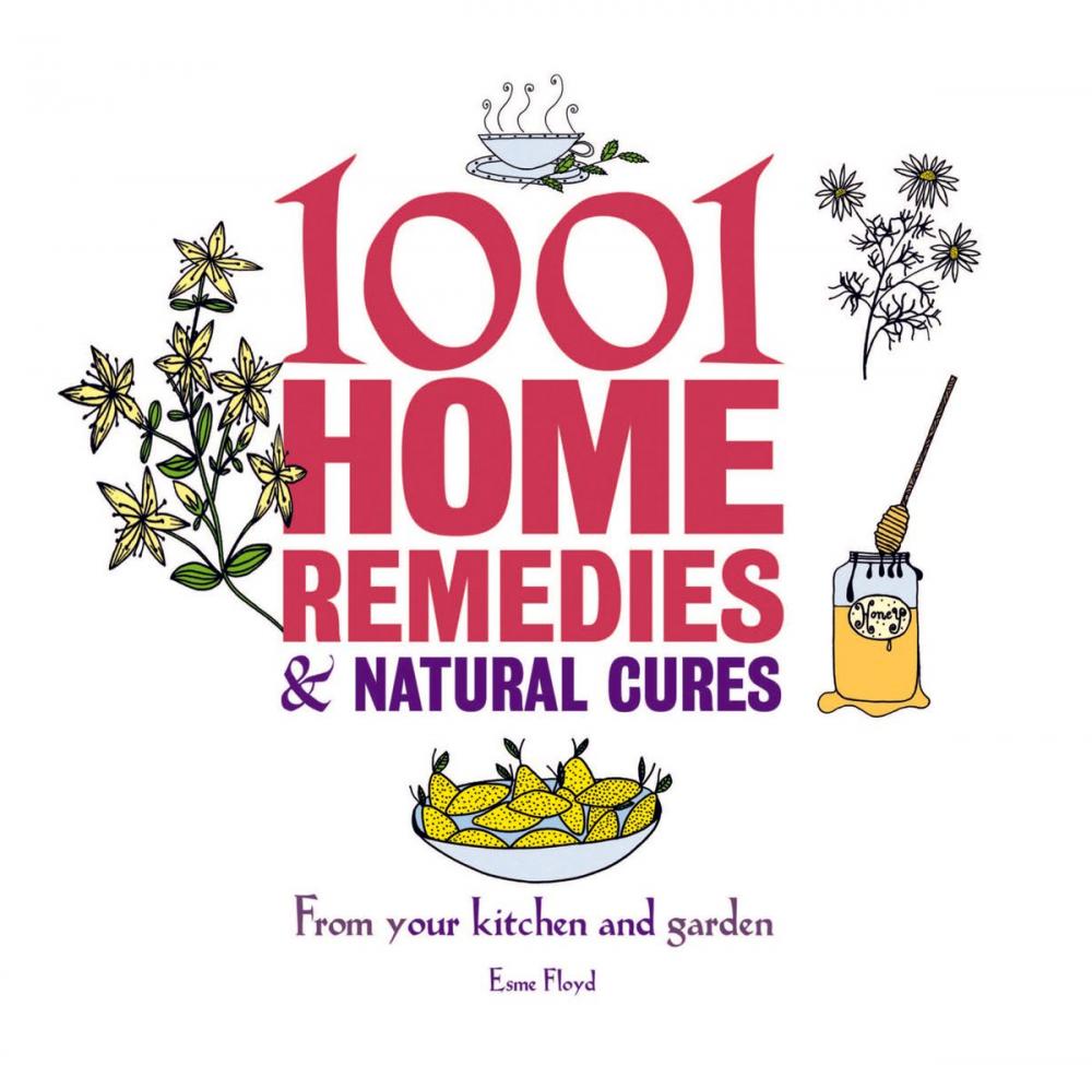 Big bigCover of 1001 Little Home Remedies and Natural Cures