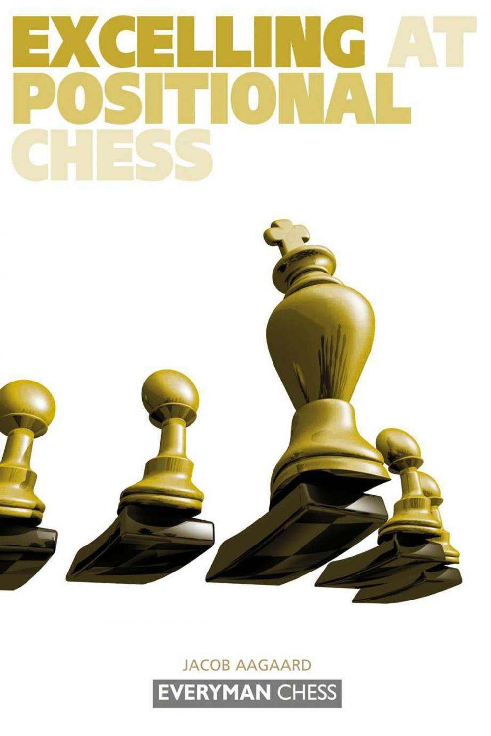 Big bigCover of Excelling at Positional Chess