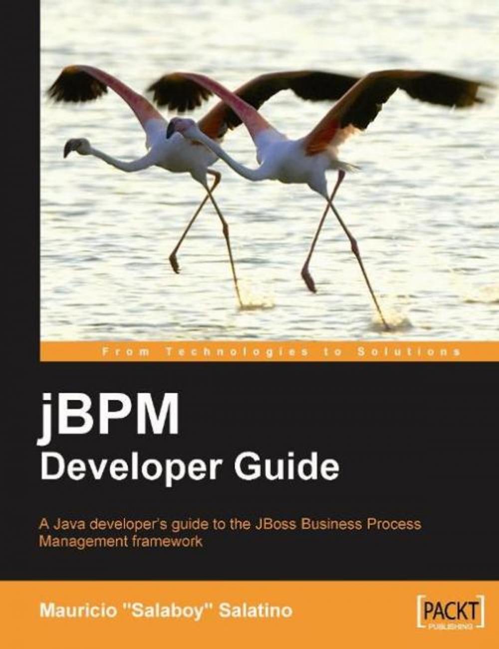 Big bigCover of jBPM Developer Guide