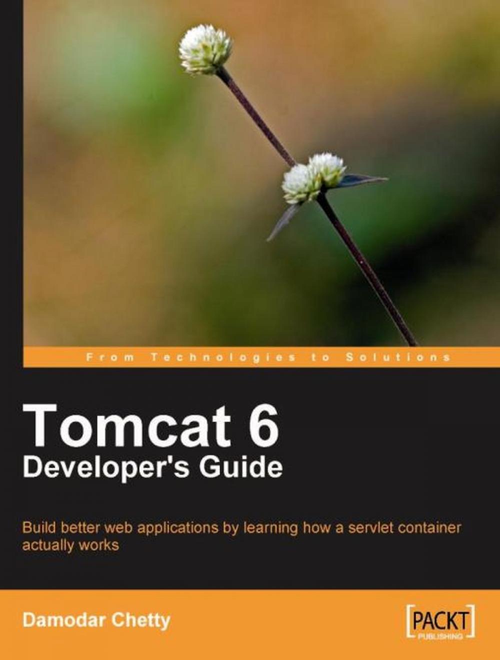 Big bigCover of Tomcat 6 Developer's Guide