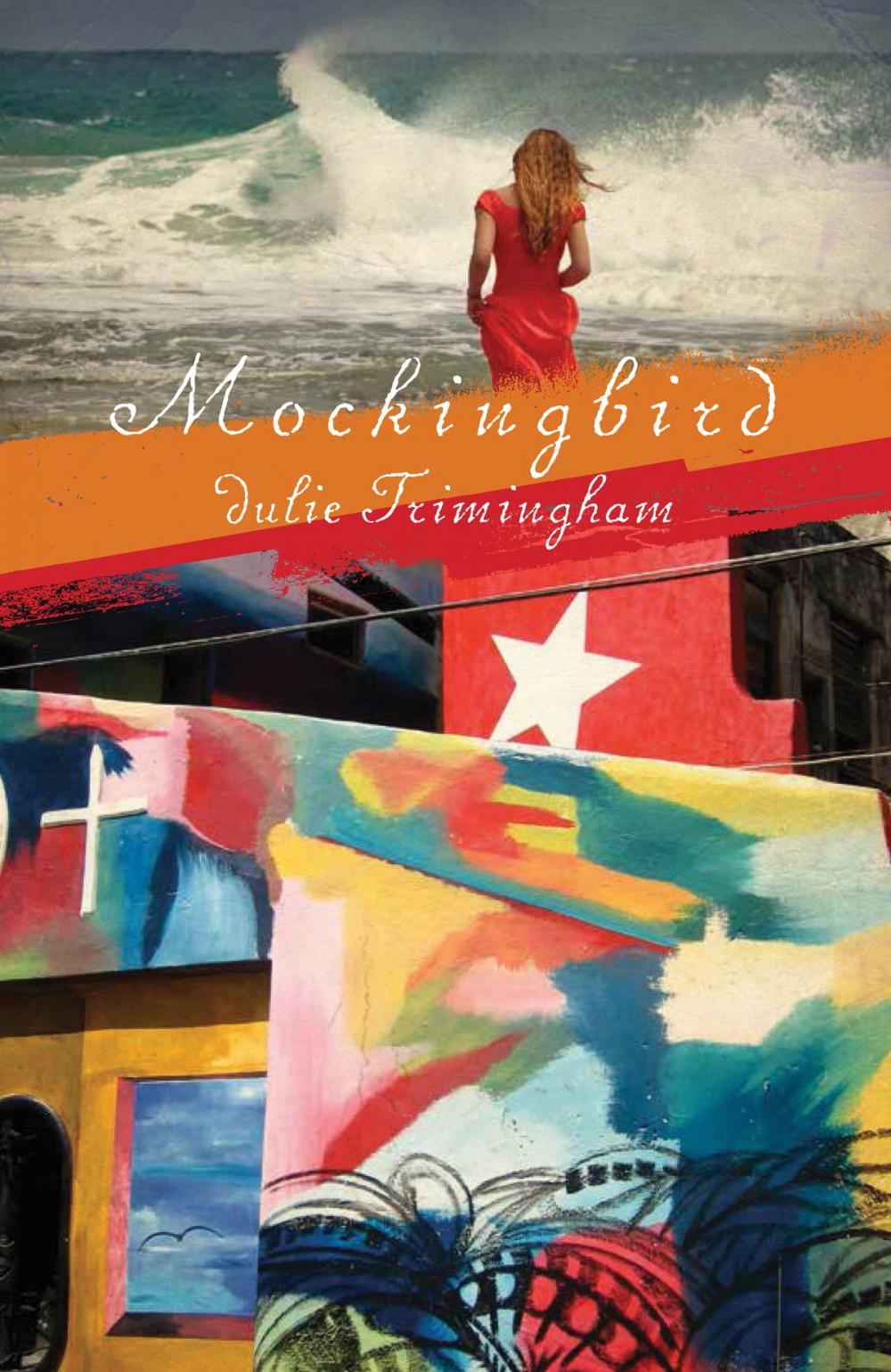 Big bigCover of Mockingbird