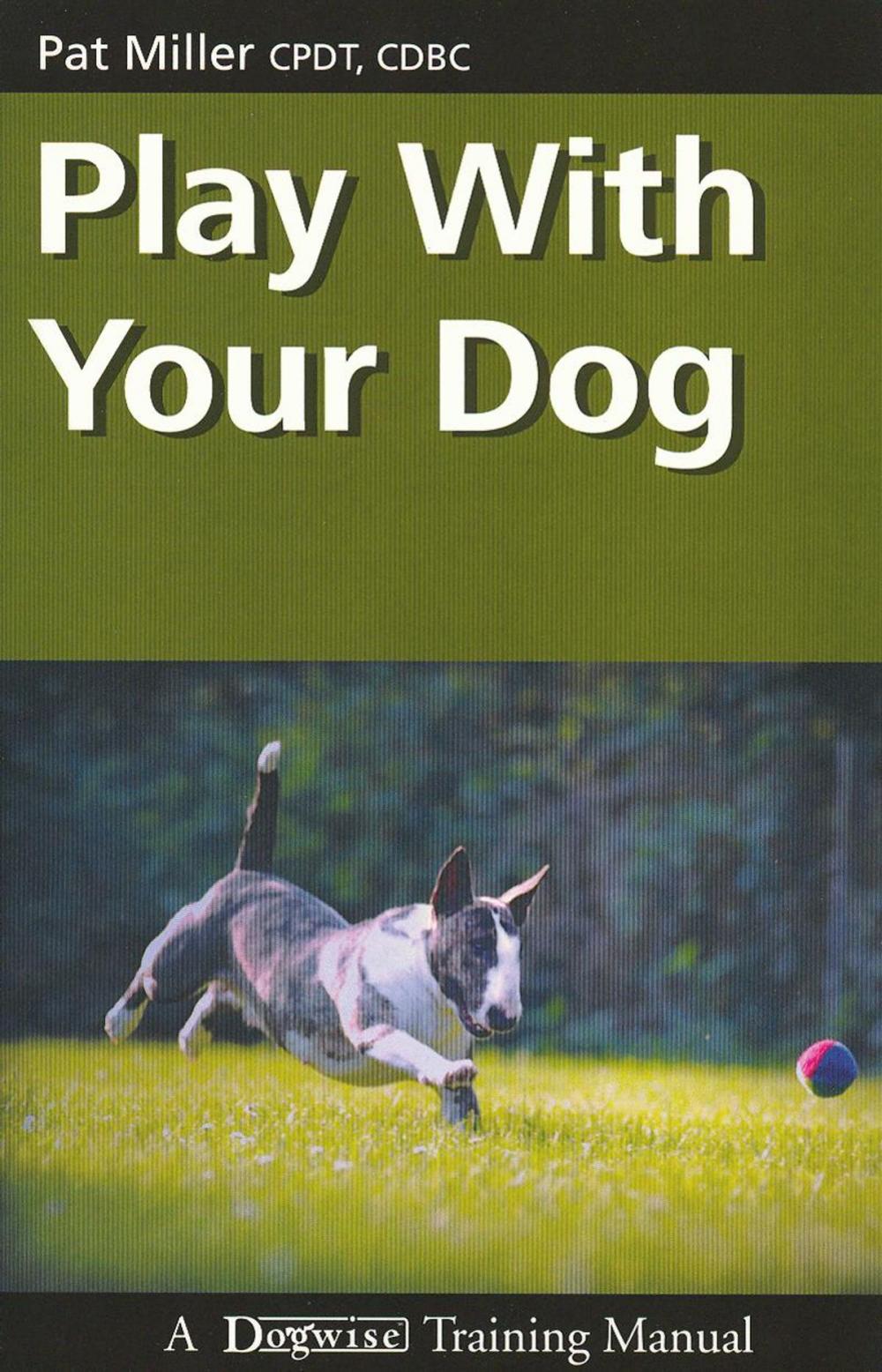 Big bigCover of Play With Your Dog