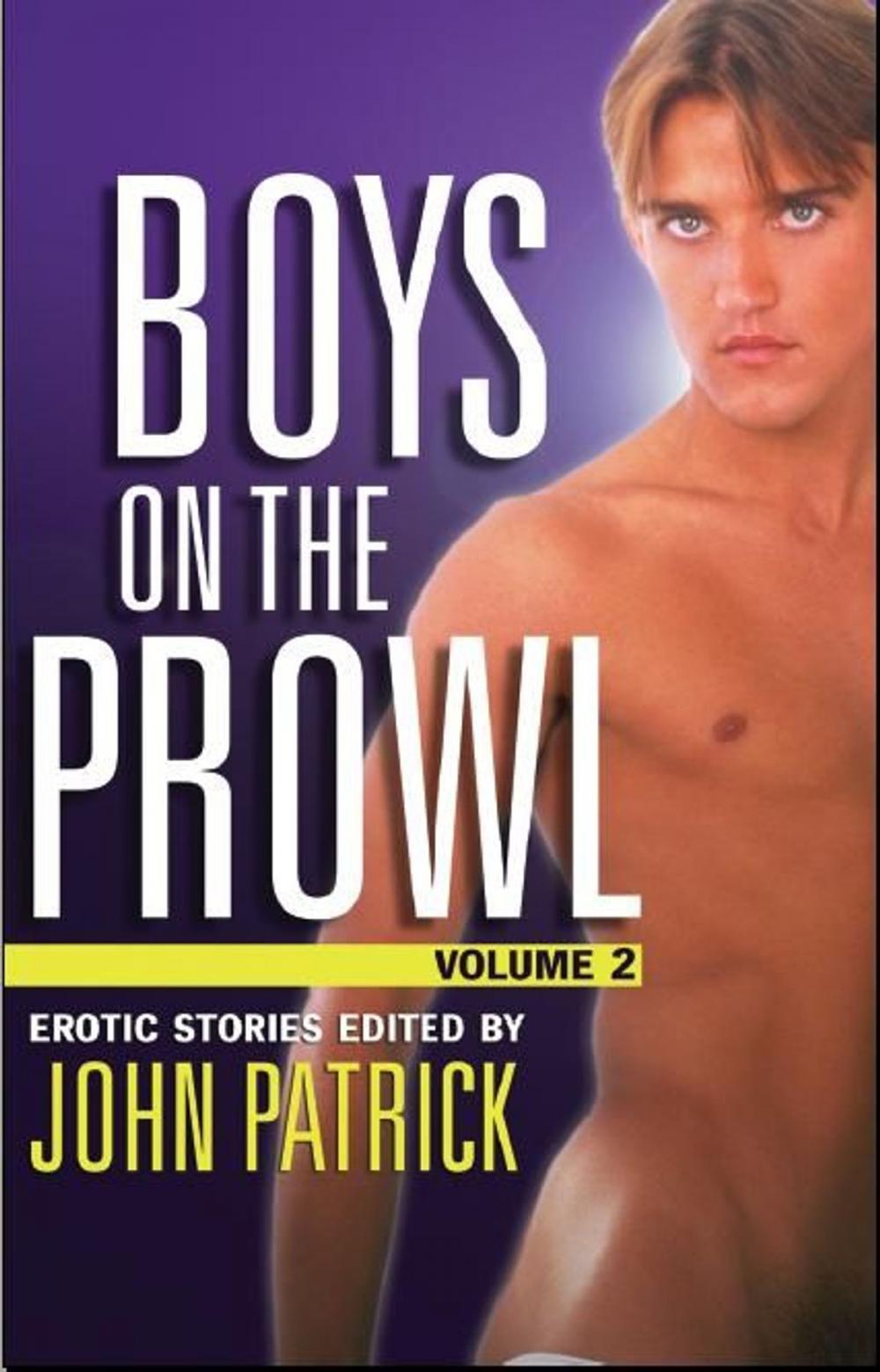 Big bigCover of Boys on the Prowl volume 2