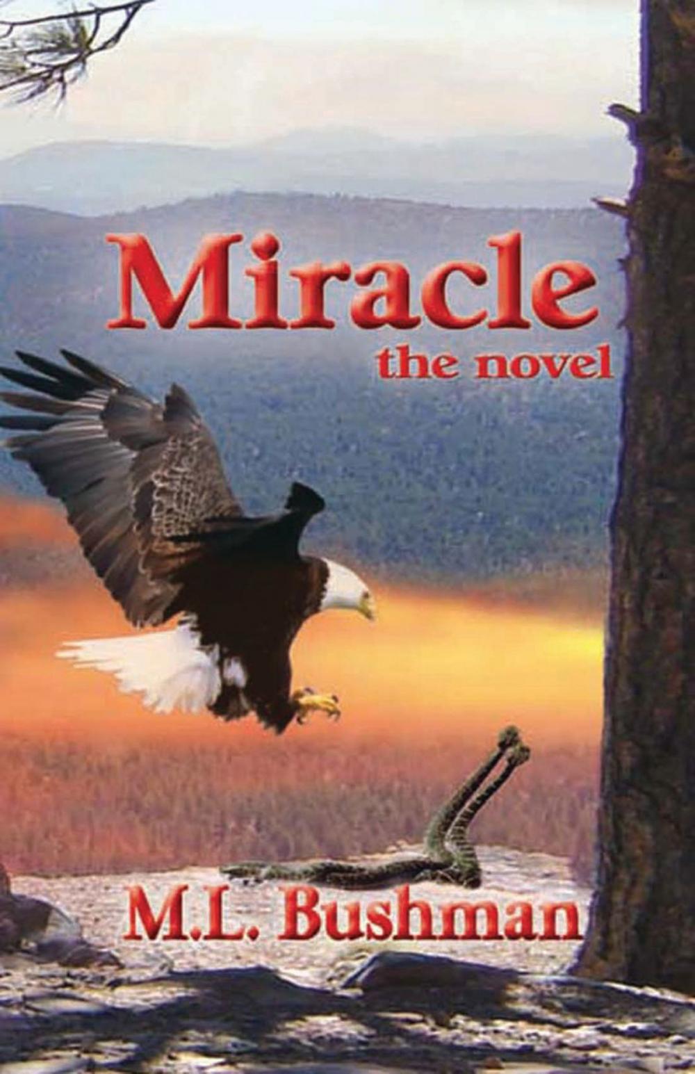 Big bigCover of Miracle, the novel