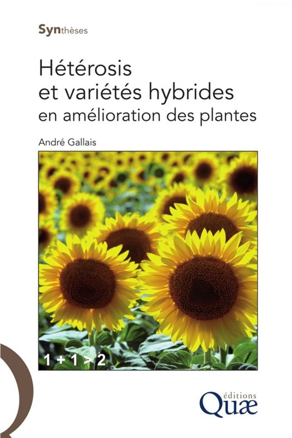 Big bigCover of Hétérosis et variétés hybrides en amélioration des plantes