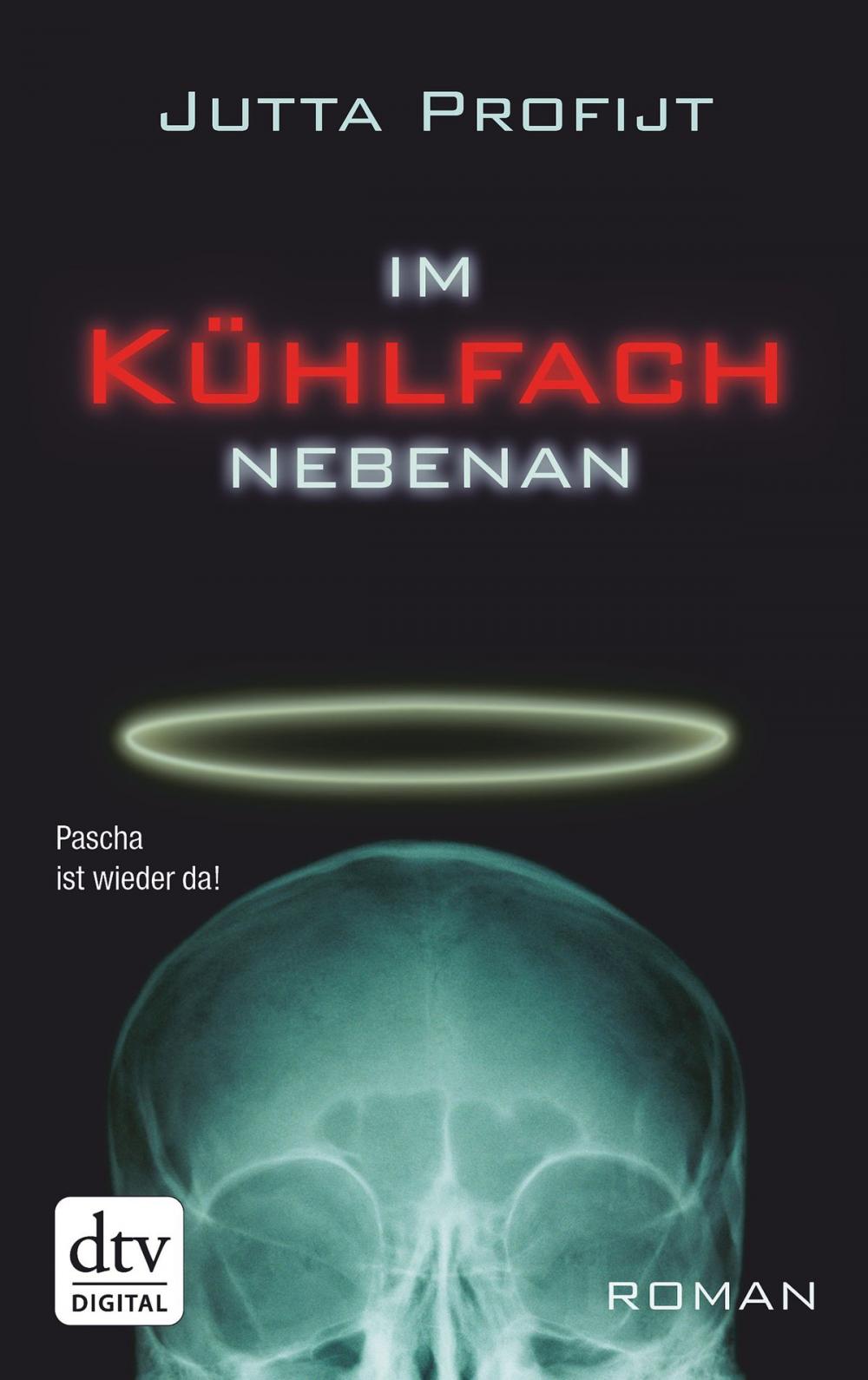 Big bigCover of Im Kühlfach nebenan