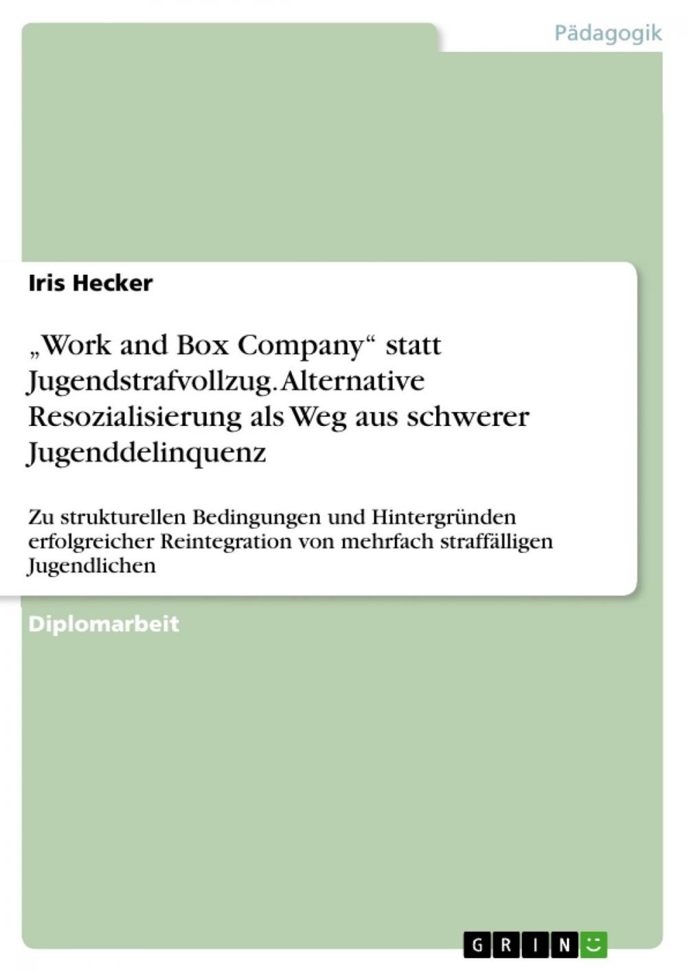 Big bigCover of 'Work and Box Company' statt Jugendstrafvollzug. Alternative Resozialisierung als Weg aus schwerer Jugenddelinquenz