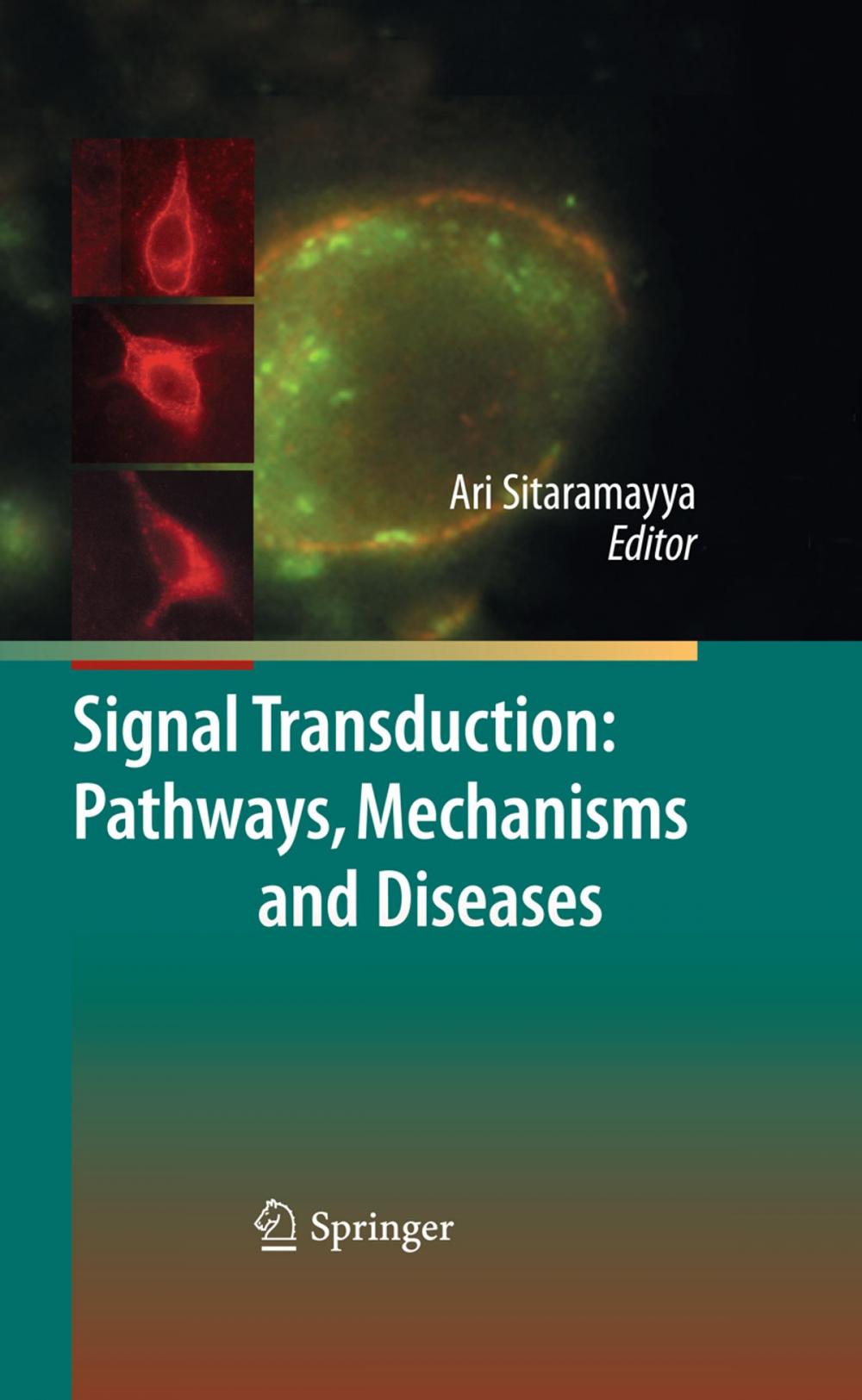 Big bigCover of Signal Transduction: Pathways, Mechanisms and Diseases