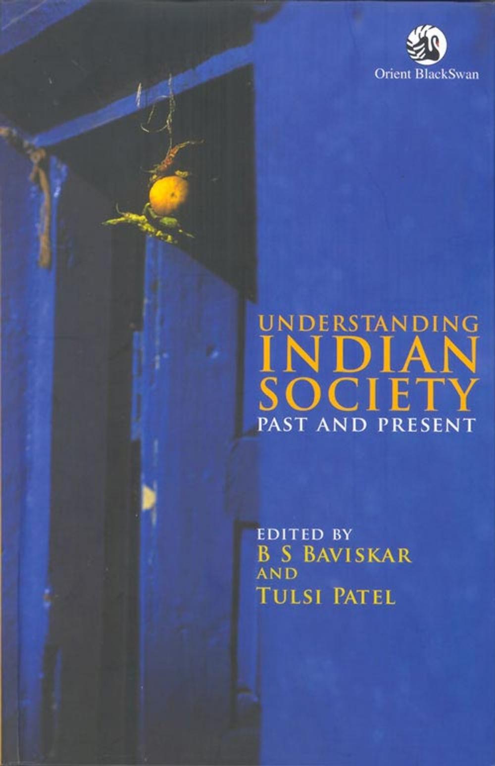 Big bigCover of Understanding Indian Society