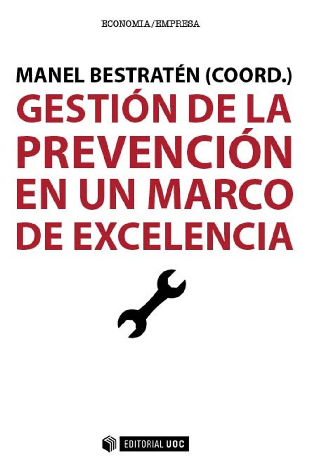 Big bigCover of Gestión de la prevención en un marco de excelencia