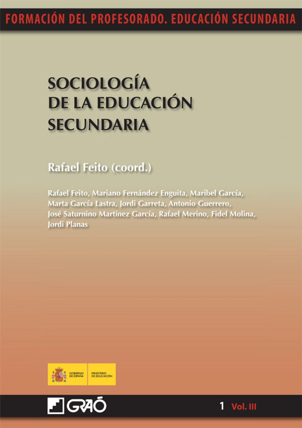 Big bigCover of Sociología de la educación secundaria