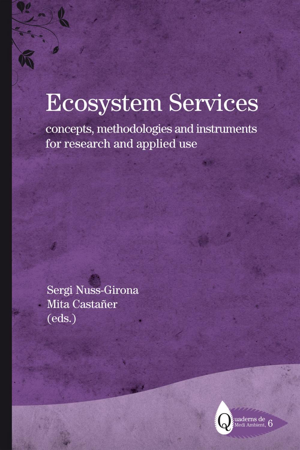 Big bigCover of Ecosystem Services: concepts, methodologies and instruments for research and applied use