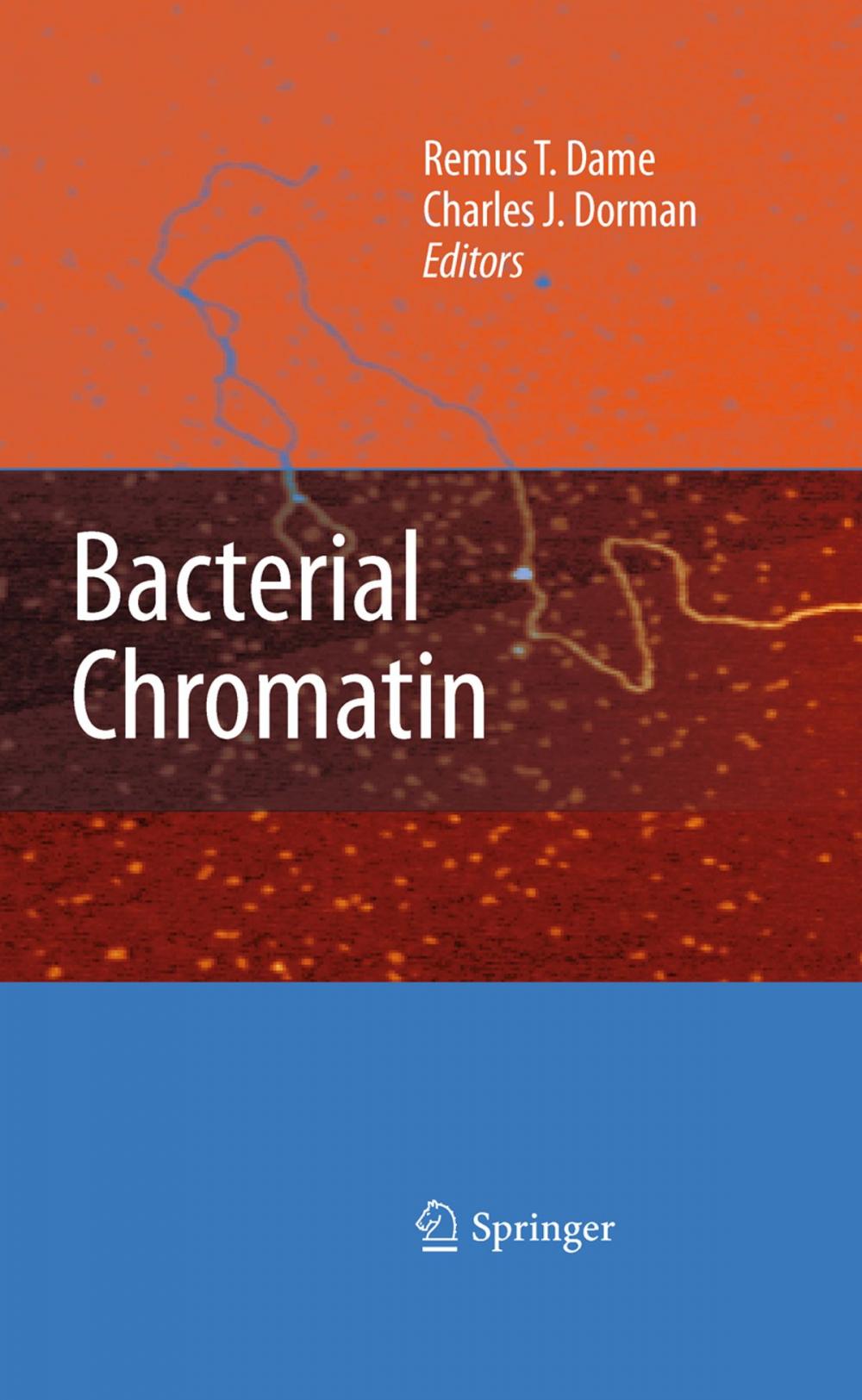 Big bigCover of Bacterial Chromatin