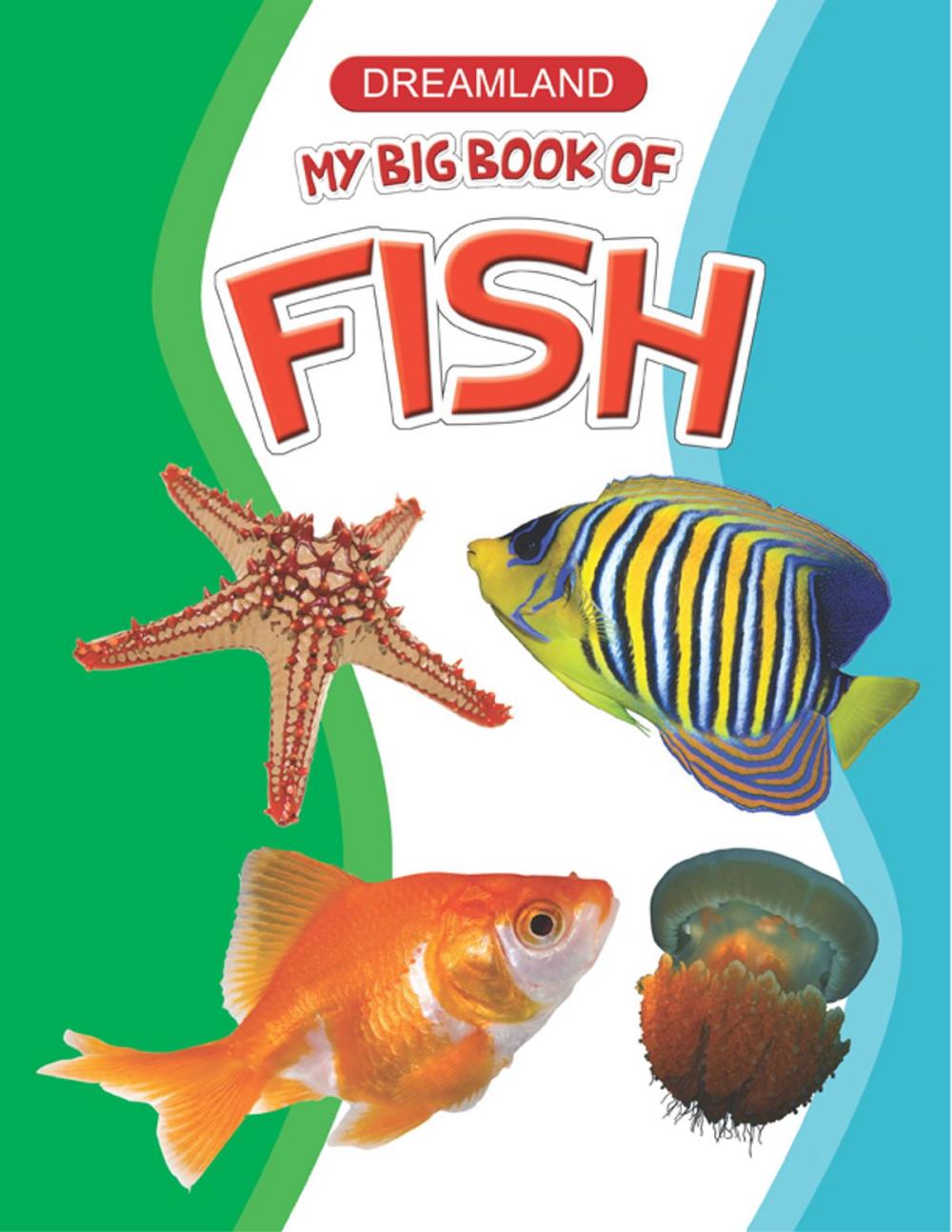 Big bigCover of My Big Book of Fish